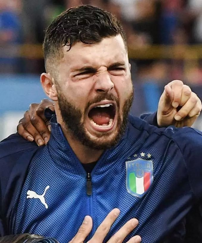 熊猫故里的 熊猫故里的