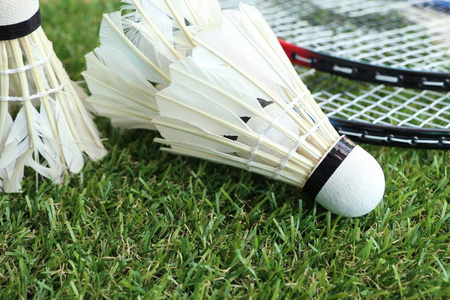 东泰山取胜 东泰山取胜