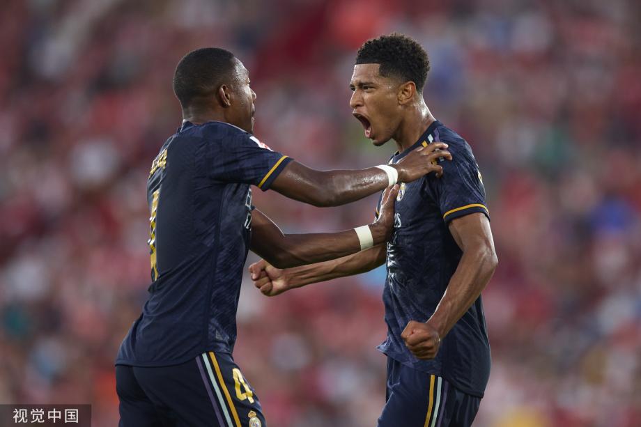 部联盟中占 部联盟中占